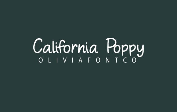 California Poppy: A Romantic Script Font for Editorial Design