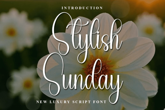 Stylish Sunday Font: A Warm Display Typeface for Web Design